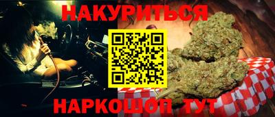 гидра Кингисепп