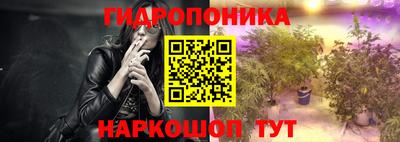 гидра Кингисепп