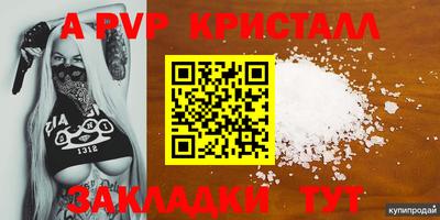 гидра Кингисепп
