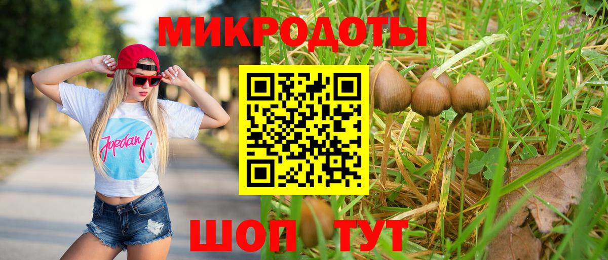 Псилоцибиновые грибы Cubensis Дятьково