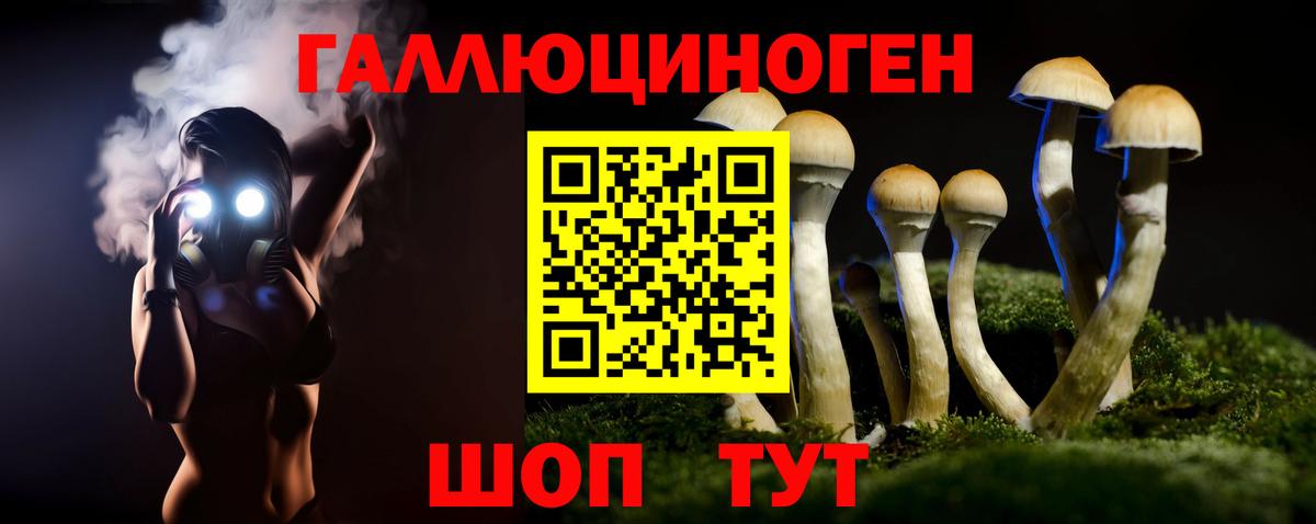 Дятьково  Псилоцибиновые грибы ЛСД  купить наркоту  Вход с VPN 