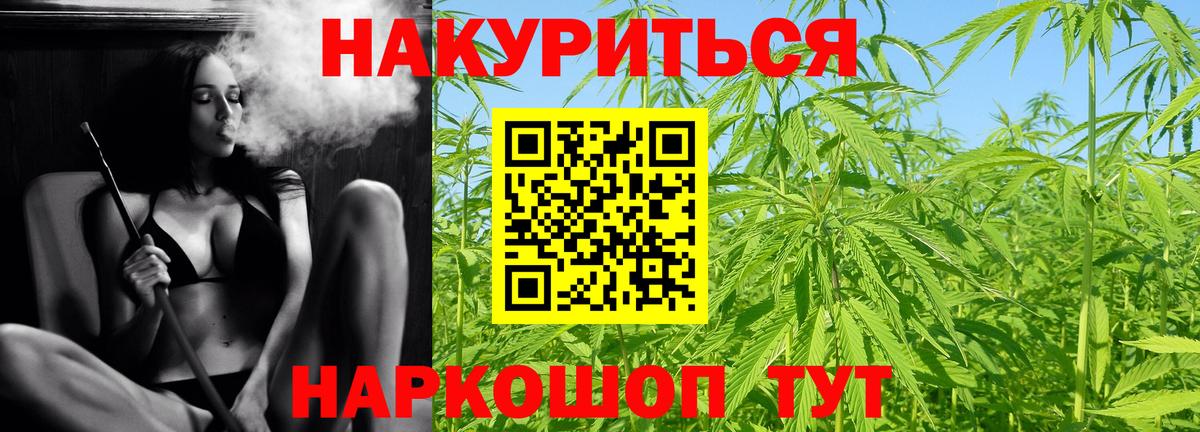 Канабис сатива Дятьково